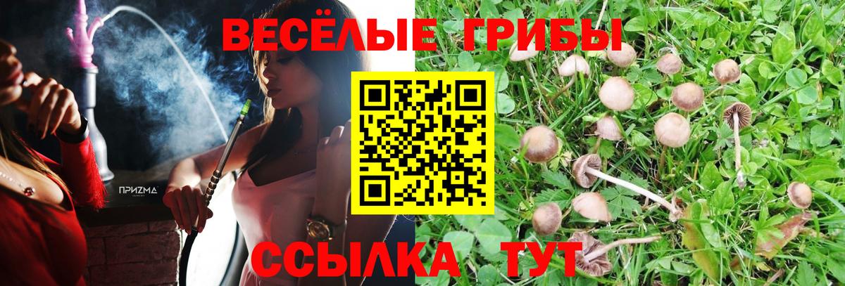 Псилоцибиновые грибы MAGIC MUSHROOMS Батайск