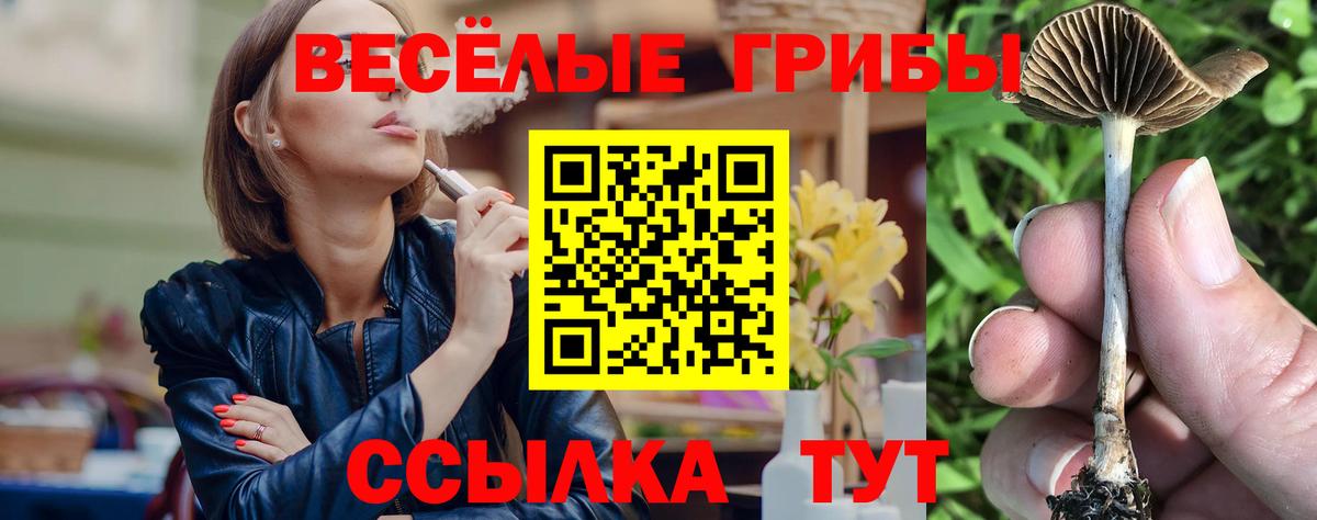 Батайск  Галлюциногенные грибы GOLDEN TEACHER  Вход с VPN 
